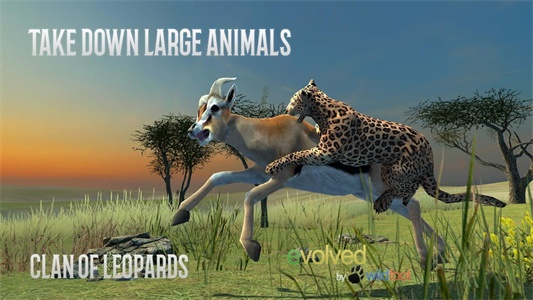 Clan of Leopards Schermafbeelding 2
