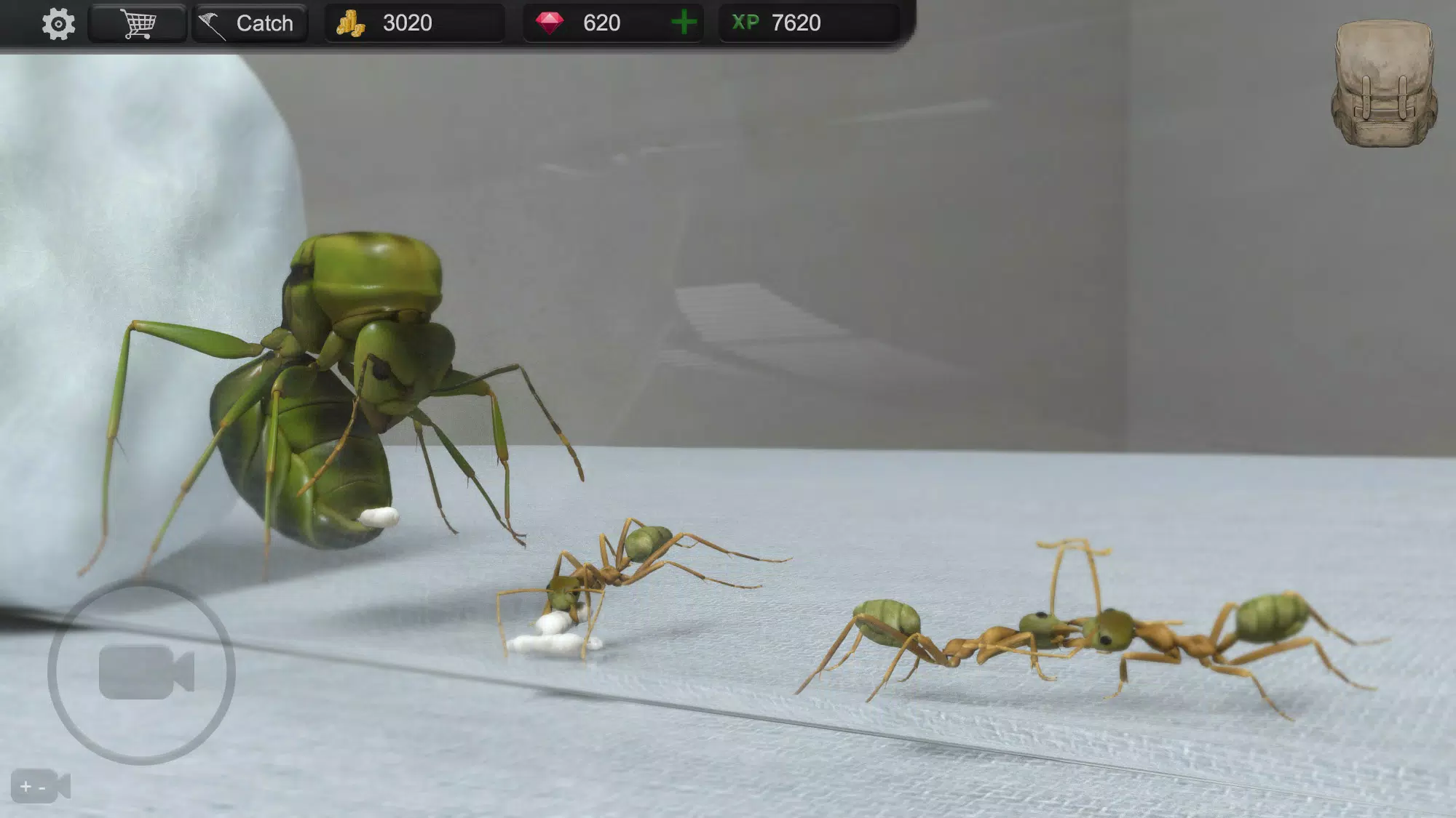 Ant Sim Tycoon Zrzut ekranu 0