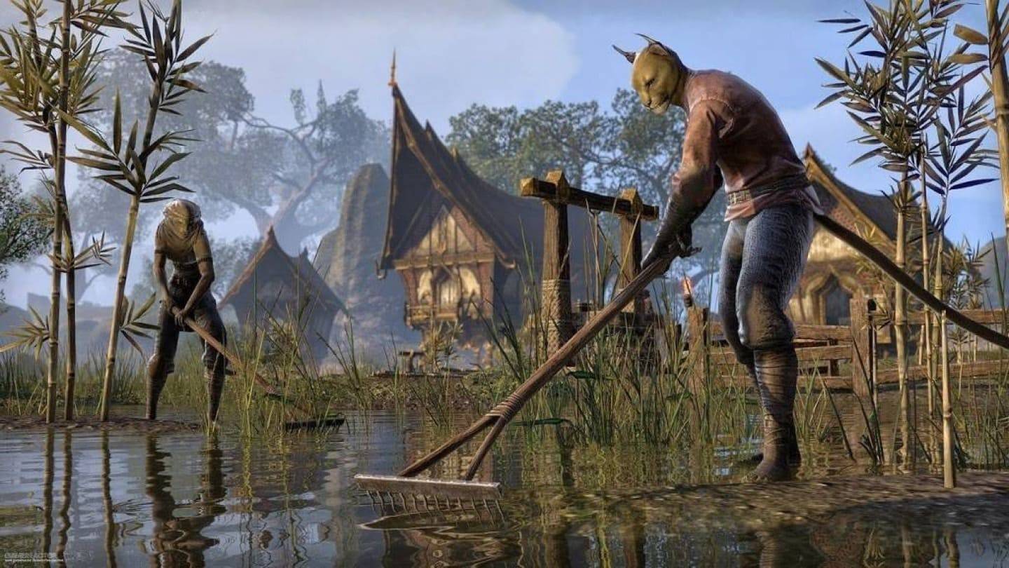 ゲーマーは、Elder Scrolls VIインクルージョンに100,000ドルを費やしています