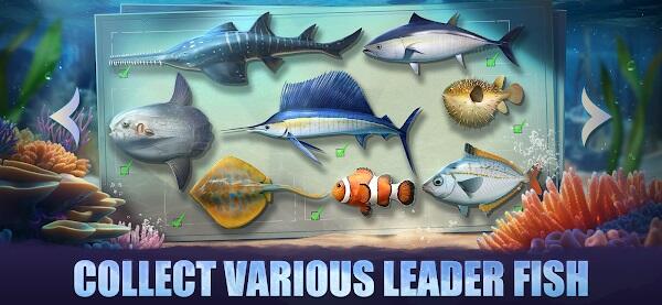 Top Fish Ocean Game Mod Apk Money Unlimited