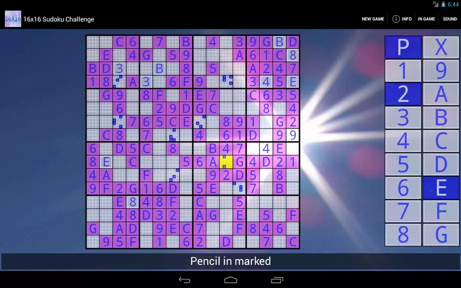 16x16 Sudoku Challenge HD Capture d'écran 2