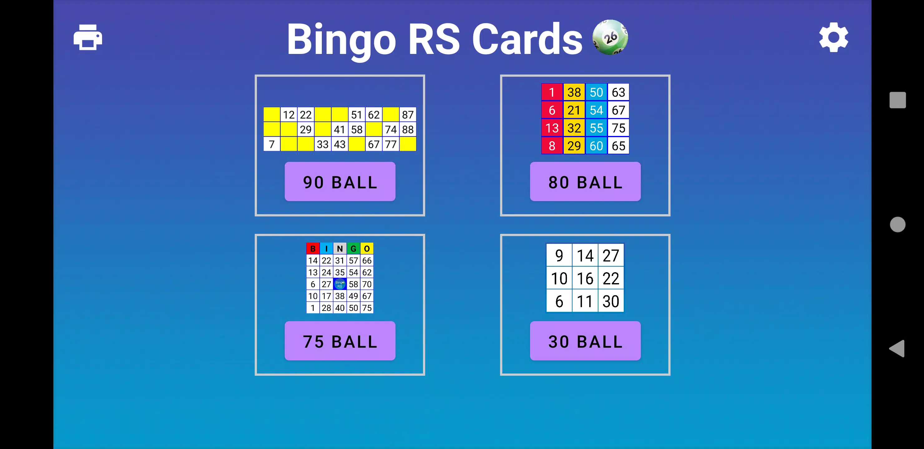 Bingo RS Cards Captura de pantalla 0