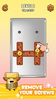 Screw Puzzle Master Screenshot 3