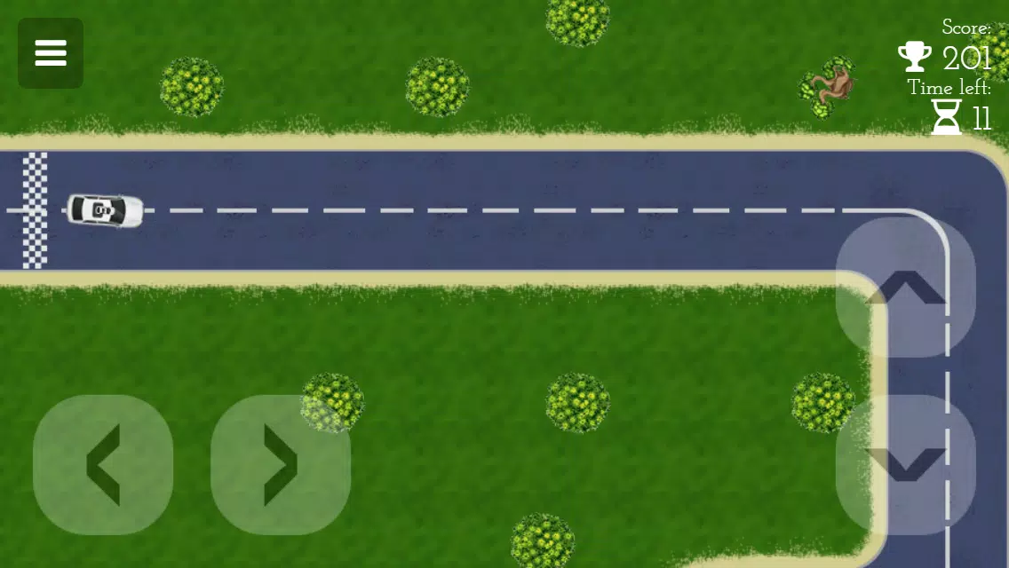 Car Driving Maze Screenshot 3