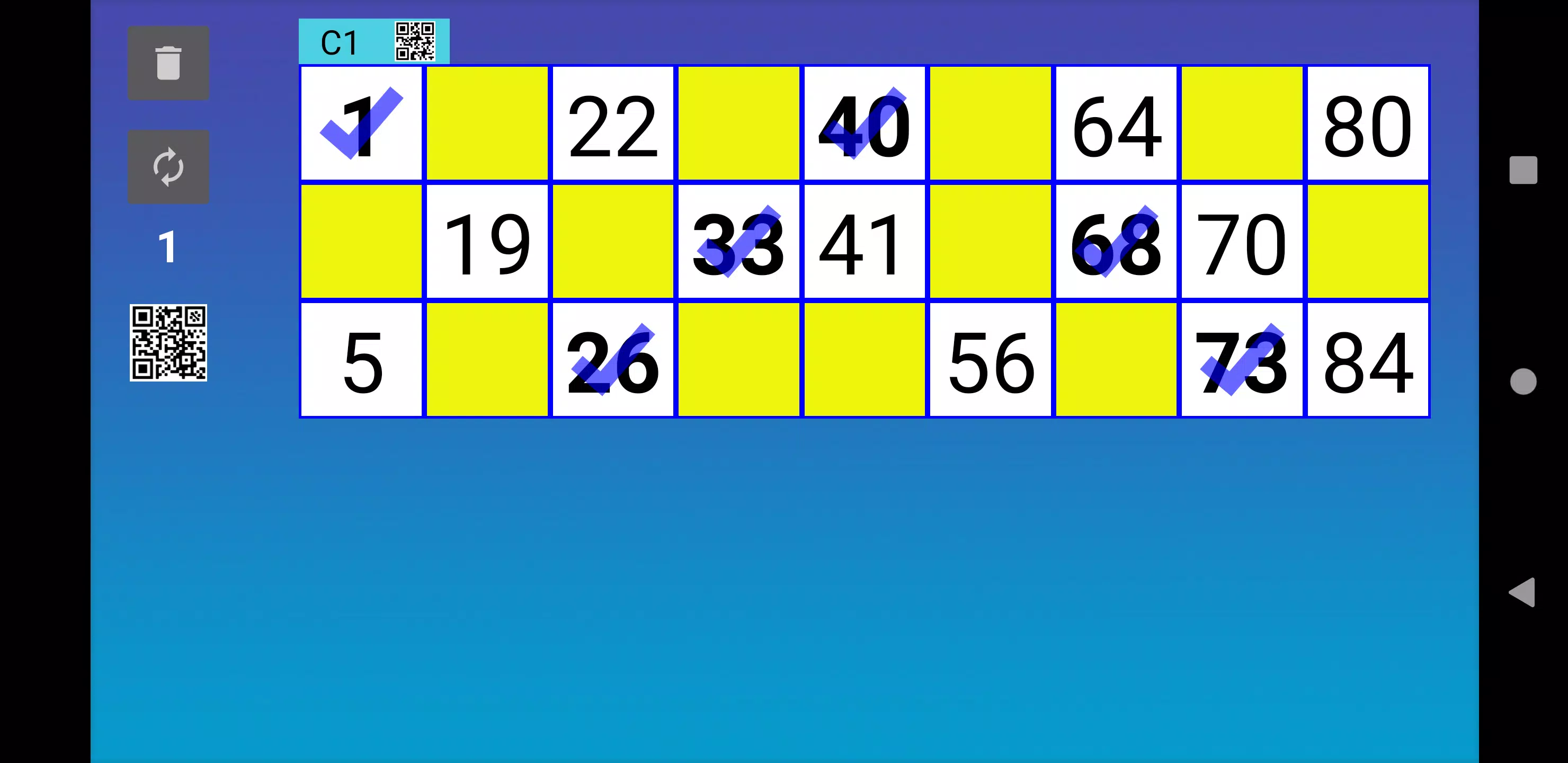 Bingo RS Cards Captura de pantalla 1