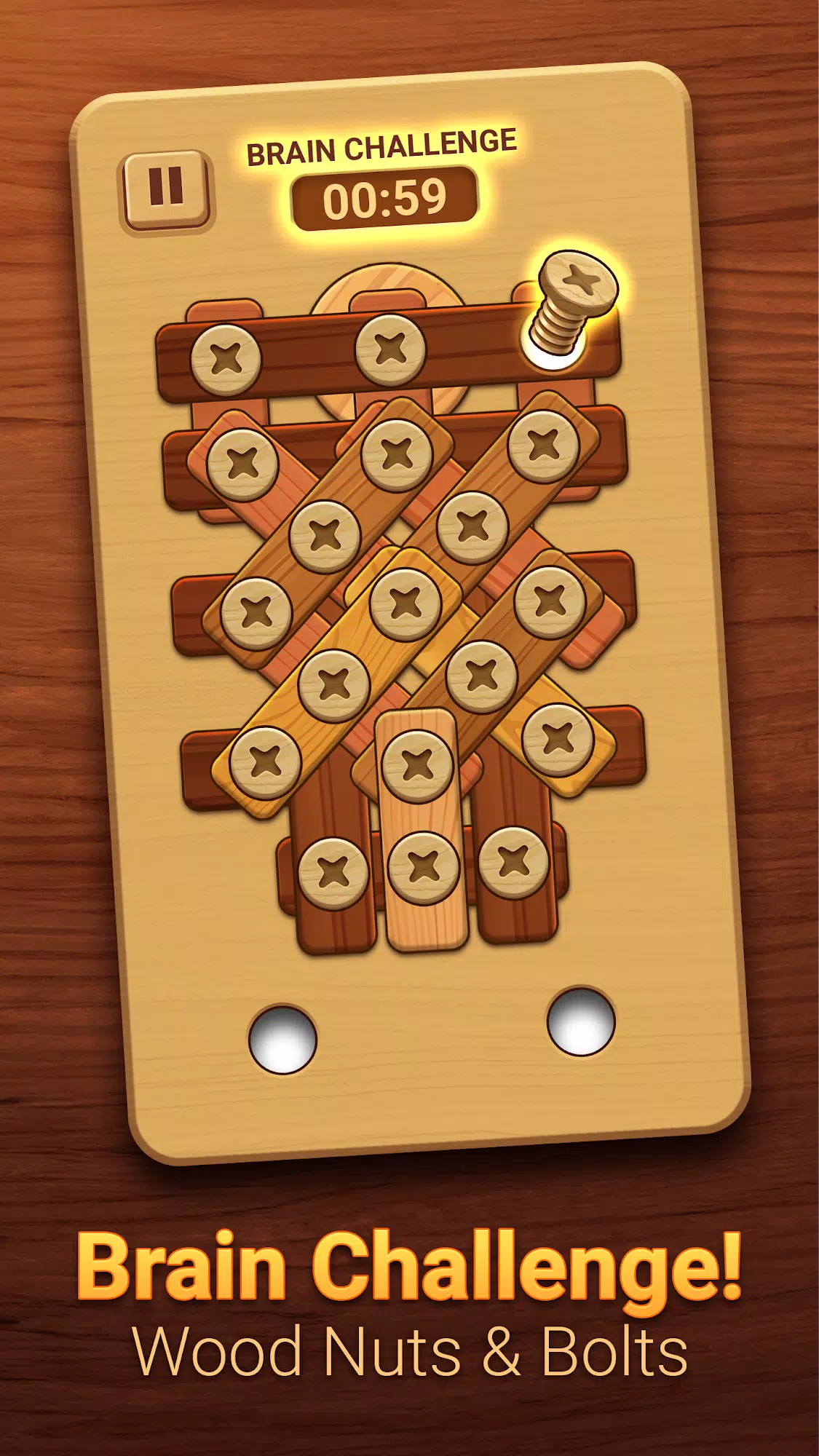 Woodle - Wood Screw Puzzle স্ক্রিনশট 2