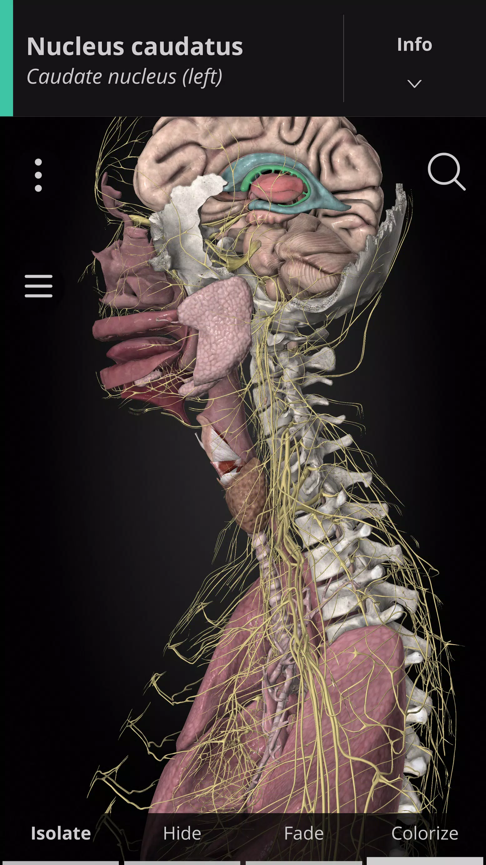 Anatomyka - 3D Anatomy Atlas Скриншот 0