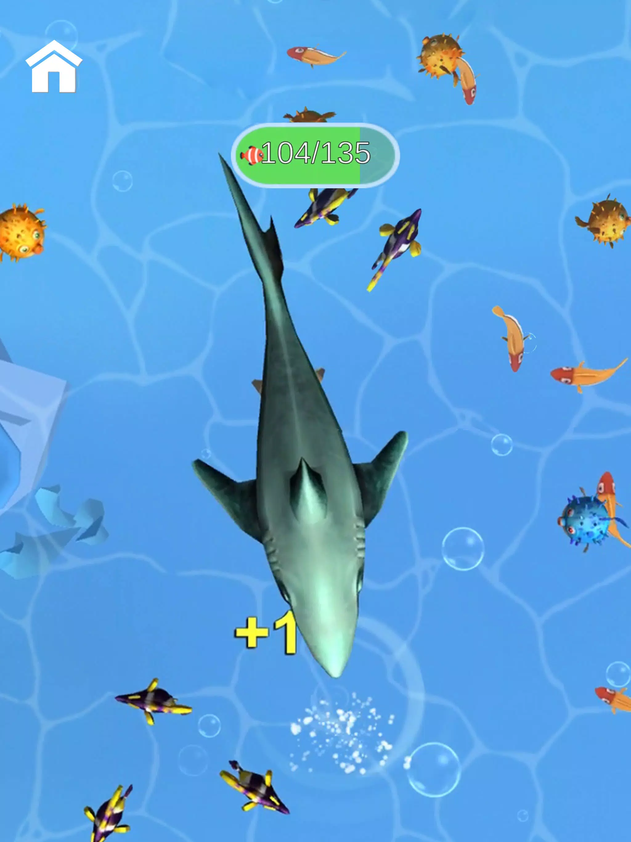 Shark Frenzy 3D應用截圖第1張