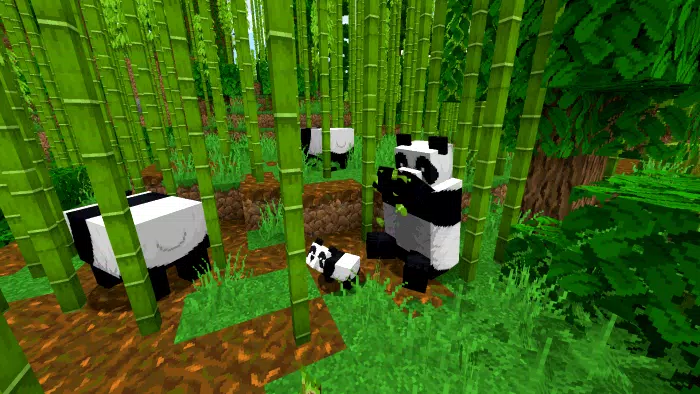 Bee Craft Capture d'écran 1