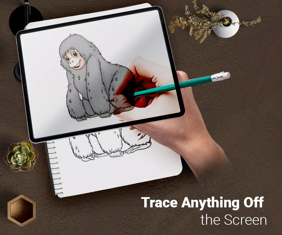 Draw : Trace & Sketch Скриншот 0