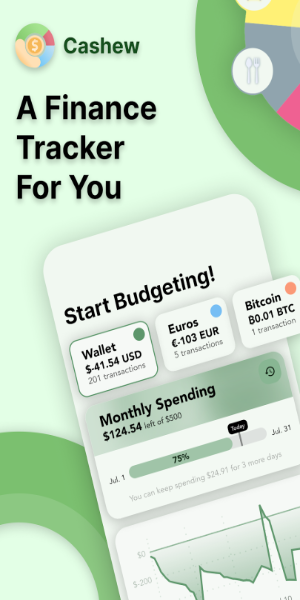 Cashew—Expense Budget Tracker Ekran Görüntüsü 1