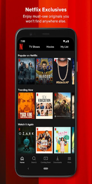 Netflix Mod APK Ekran Görüntüsü 1