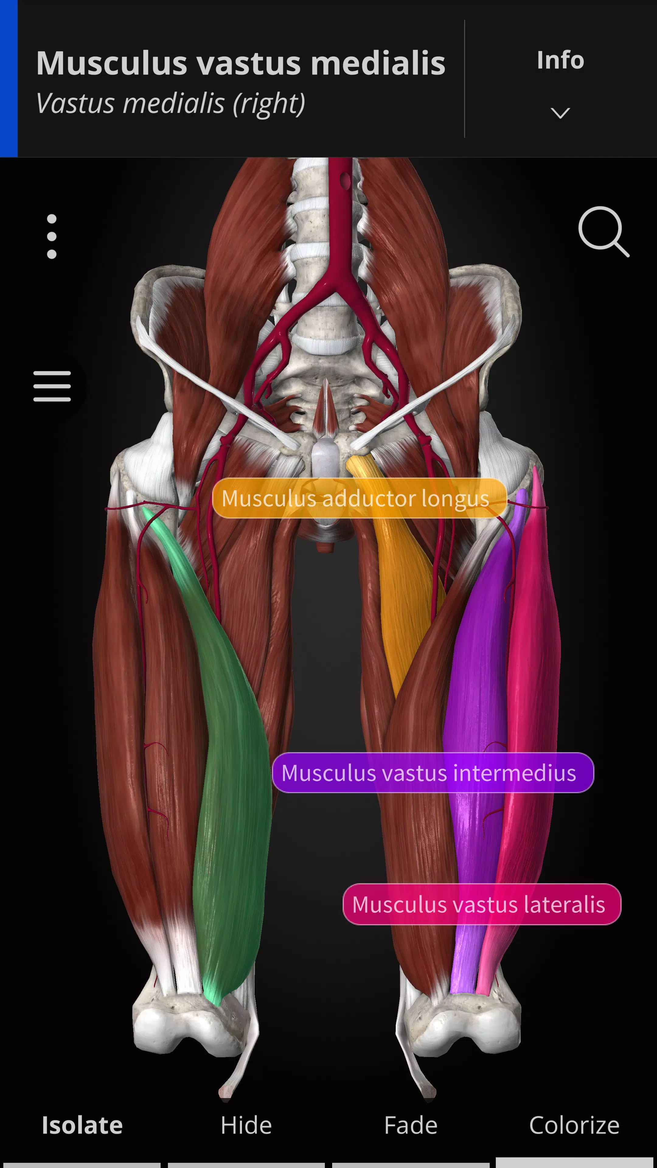 Anatomyka - 3D Anatomy Atlas Скриншот 1
