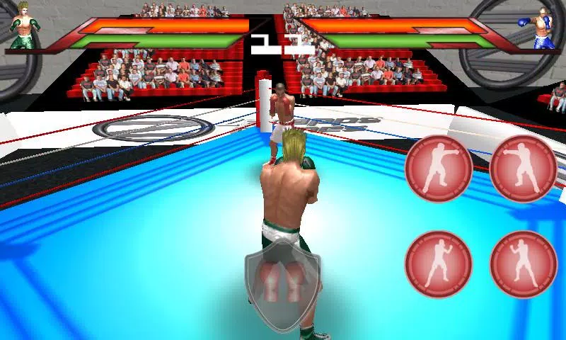 Virtual Boxing应用截图第2张