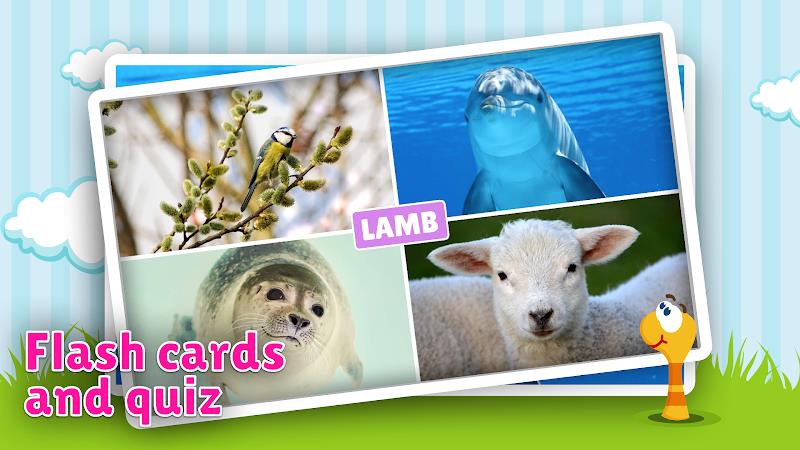 Animal flashcard & sounds 스크린샷 1