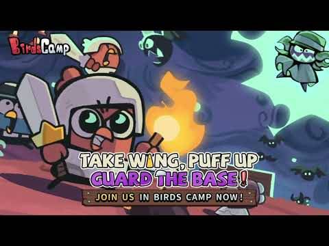 Birds Camp Gameplay