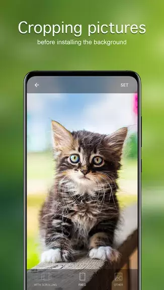 Fondos de pantalla con gatos Captura de pantalla 3