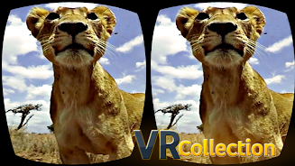 Pack of VR videos ภาพหน้าจอ 2