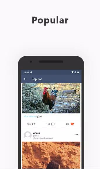 My Social Network应用截图第1张