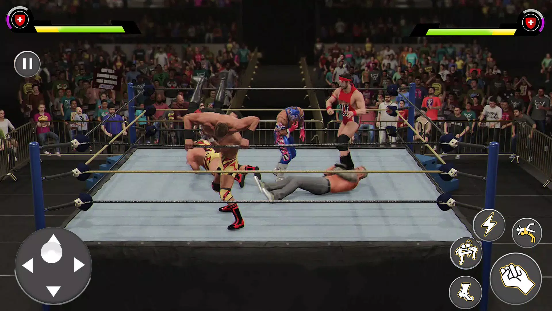 Real Wrestling Fight Captura de pantalla 1