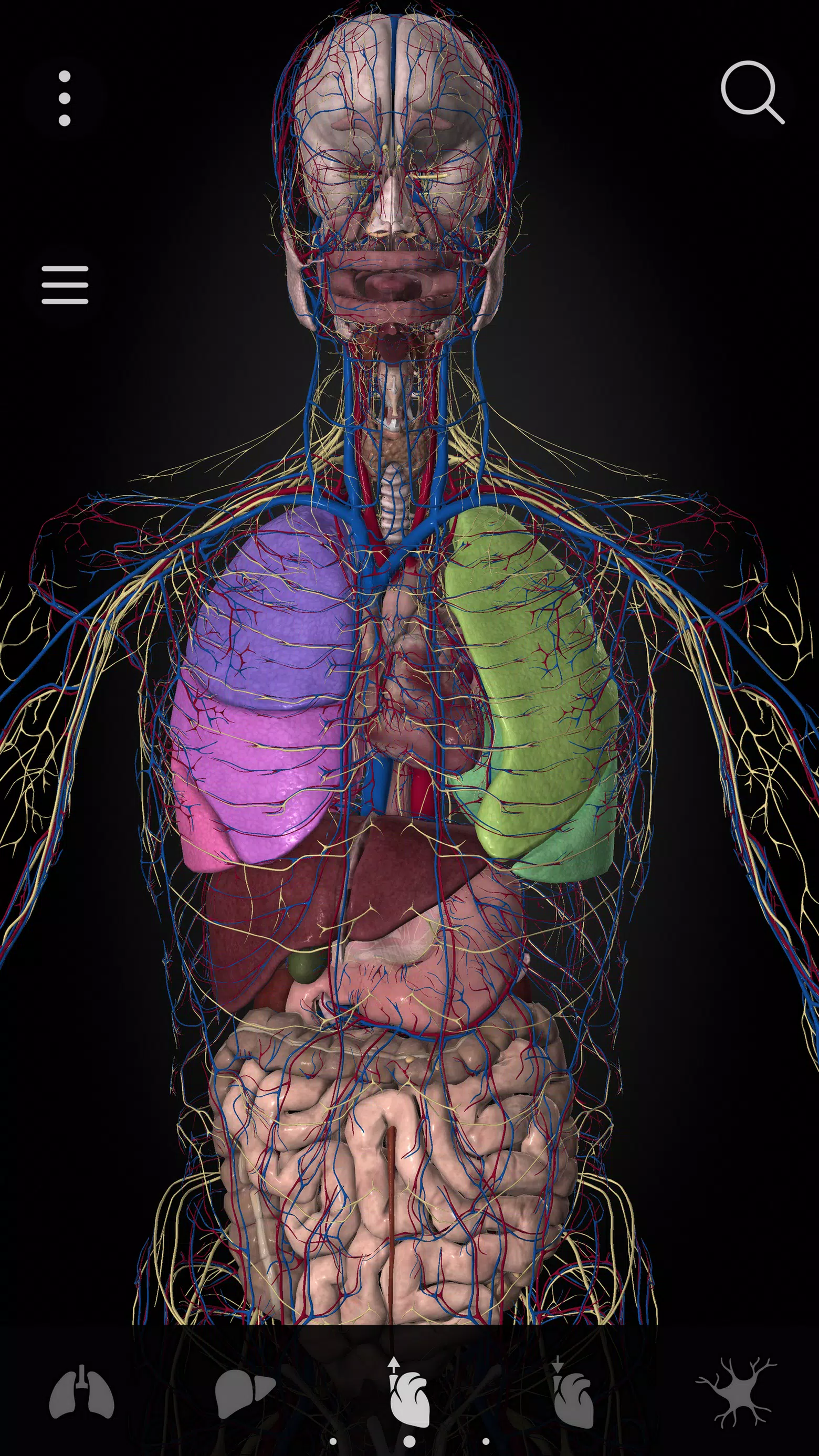 Anatomyka - 3D Anatomy Atlas Скриншот 2