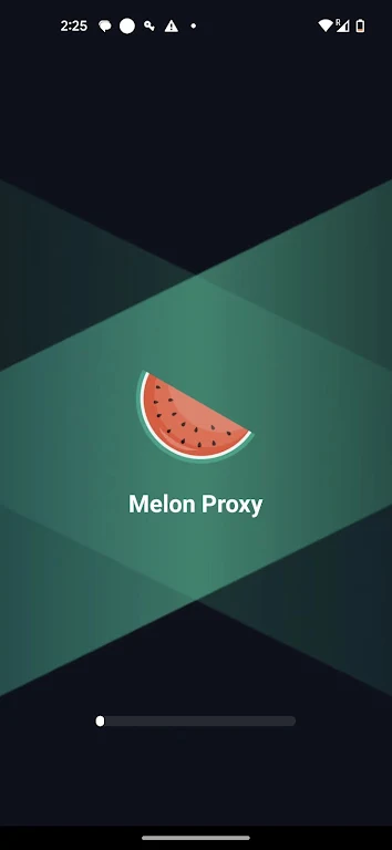 Melon Proxy應用截圖第0張