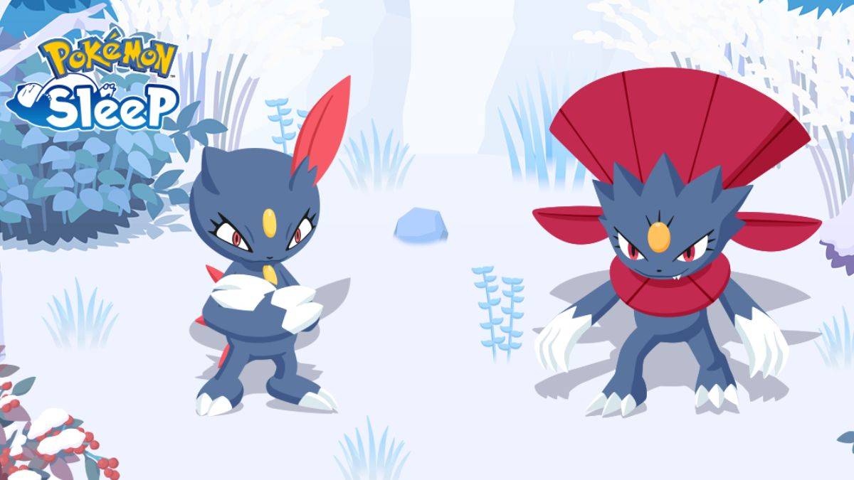 Pokemon Sleep: Menyingkap Sneasel dan Weavile