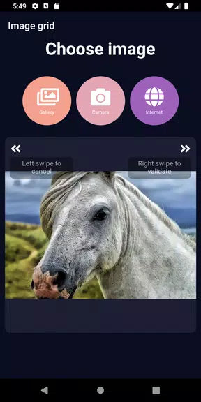 ImageGrid应用截图第1张