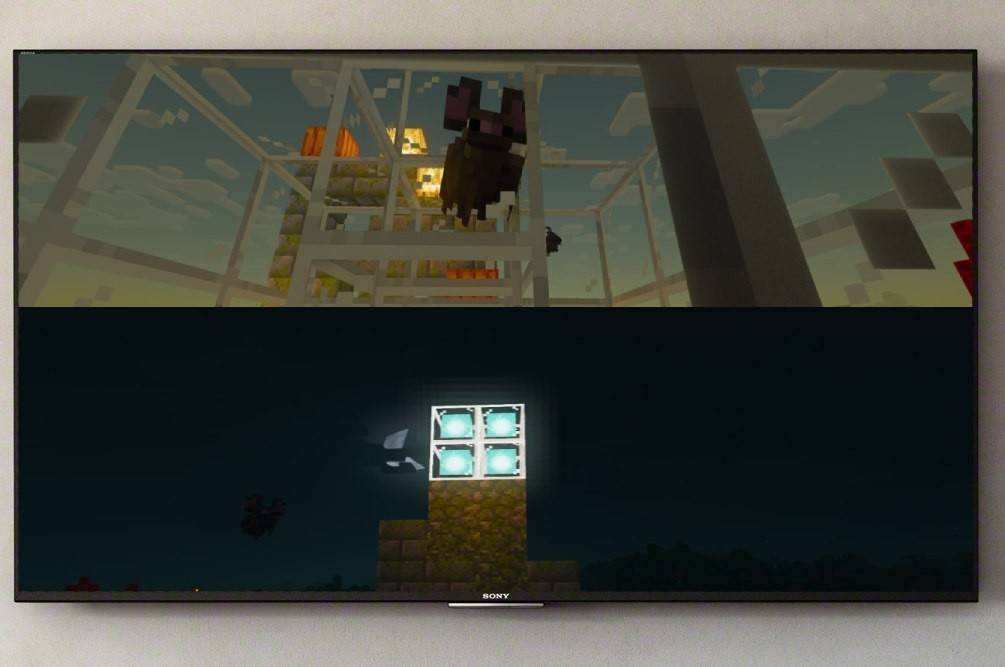 Splitscreen Minecraft Gameplay