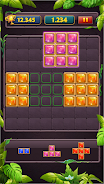 Block Puzzle Jewel Classic Скриншот 3