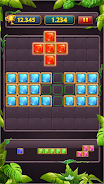 Block Puzzle Jewel Classic Ảnh chụp màn hình 1