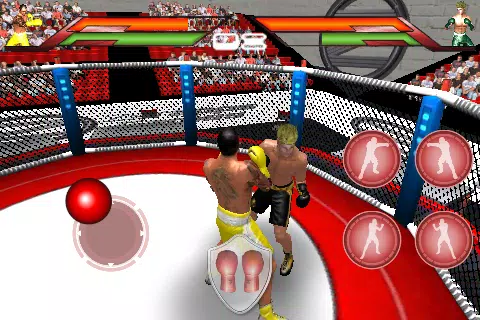 Virtual Boxing应用截图第0张