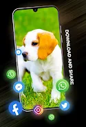 Puppies Wallpapers in 4K Captura de pantalla 2