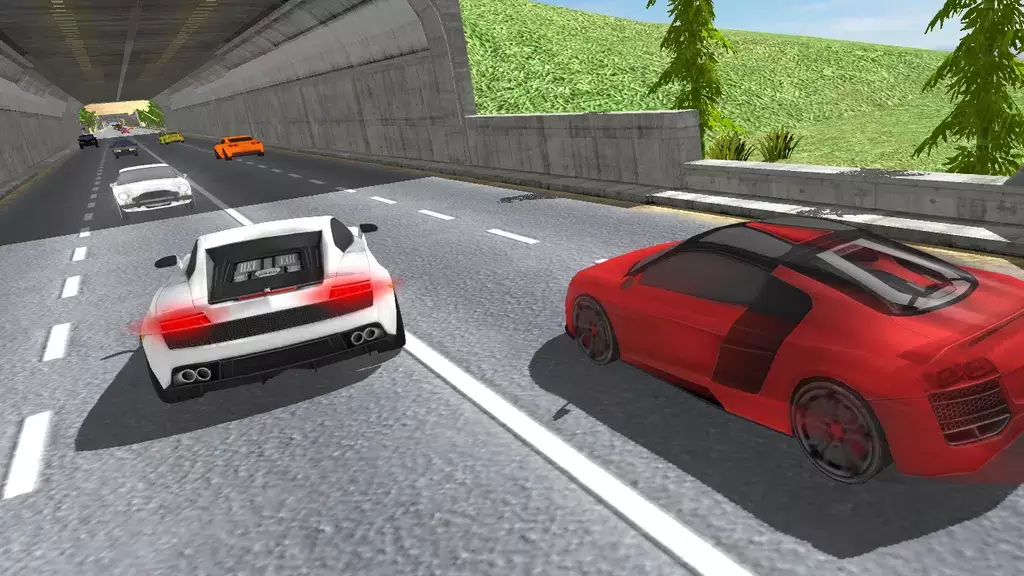 Traffic Highway Racer Screenshot 1