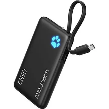 $ 11 Power Bank Gebühren Nintendo Switch, Steam Deck, iPhone 16 bei Höchstgeschwindigkeit