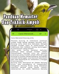 Suara Burung Sirtu Pikat MP3 Offline Screenshot 3