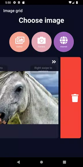 ImageGrid应用截图第2张