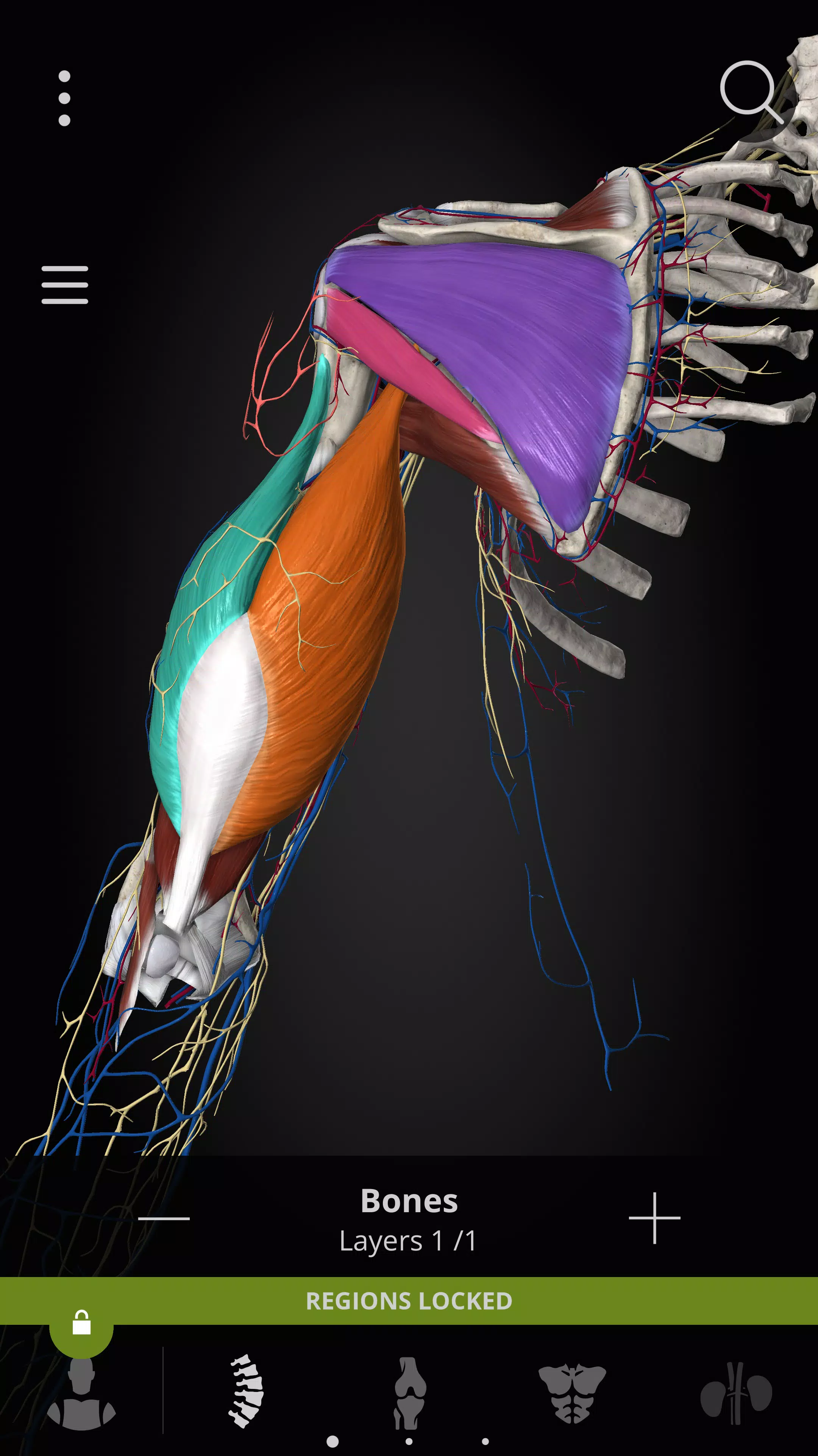 Anatomyka - 3D Anatomy Atlas Скриншот 3