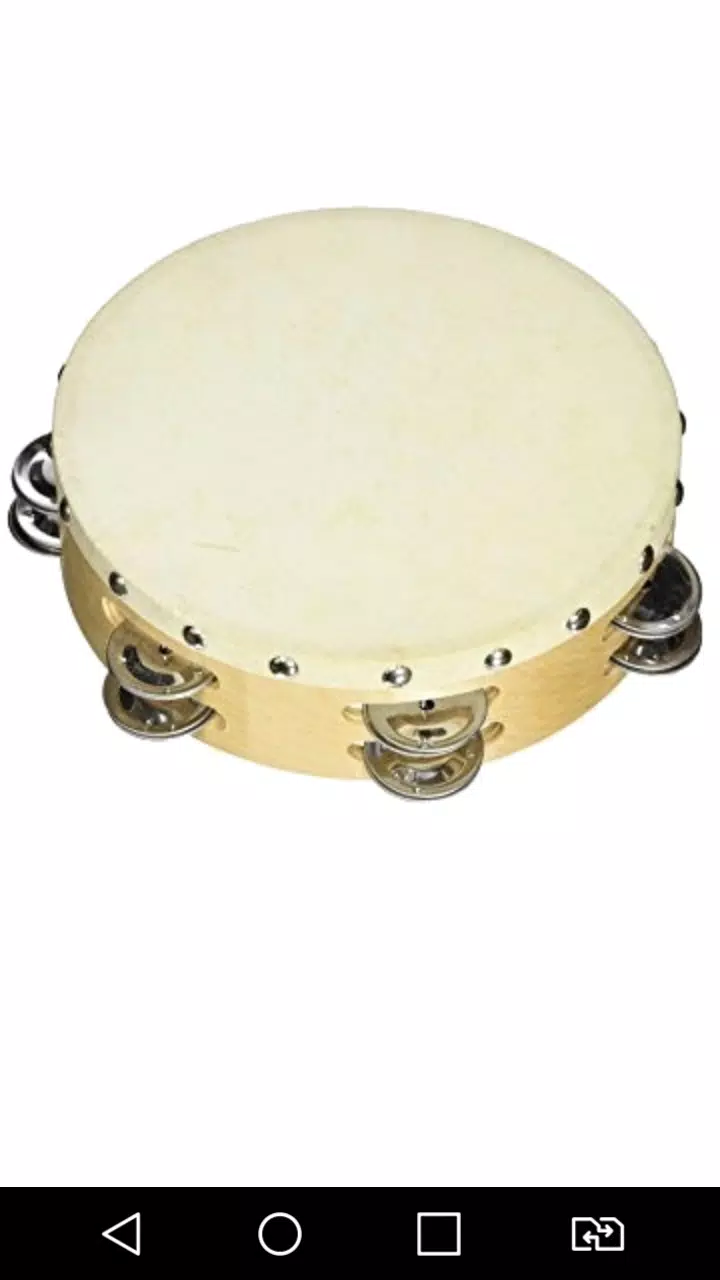 Virtual Tambourine Offline Captura de tela 0