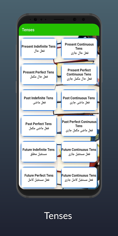 Learn English in Urdu Screenshot 2