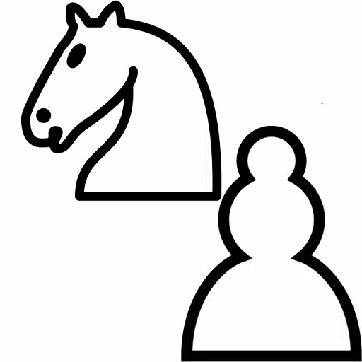 Chess Horse Puzzle