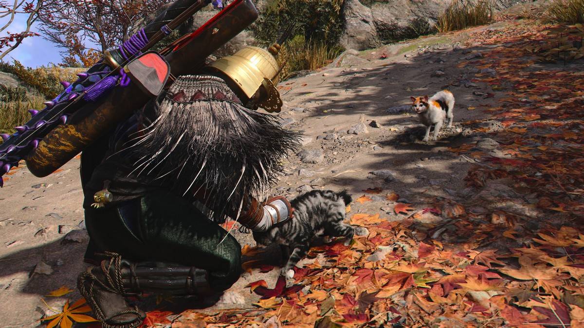 Scopri Cat Island in Assassin's Creed Shadows: Guida alla posizione